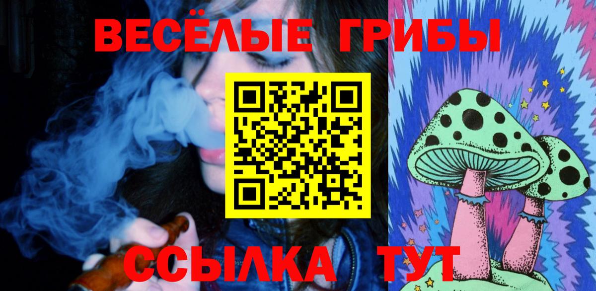 Корсаков  Галлюциногенные грибы прущие грибы  Псилоцибиновые грибы ЛСД  как найти наркотики  Вход с VPN 