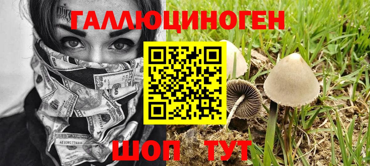 Псилоцибиновые грибы Magic Shrooms Корсаков